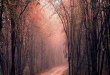 [乒乓球]李武军：乒超联赛总决赛精彩纷呈.