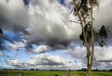 兰博电竞官网：杭州亚残运会丨科技赋能 这是一届“有爱无碍”的亚残运会人民网.